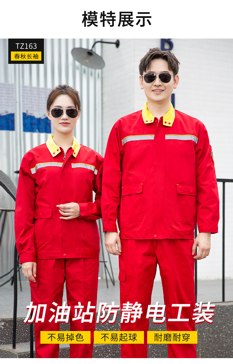 TZ163(图16)